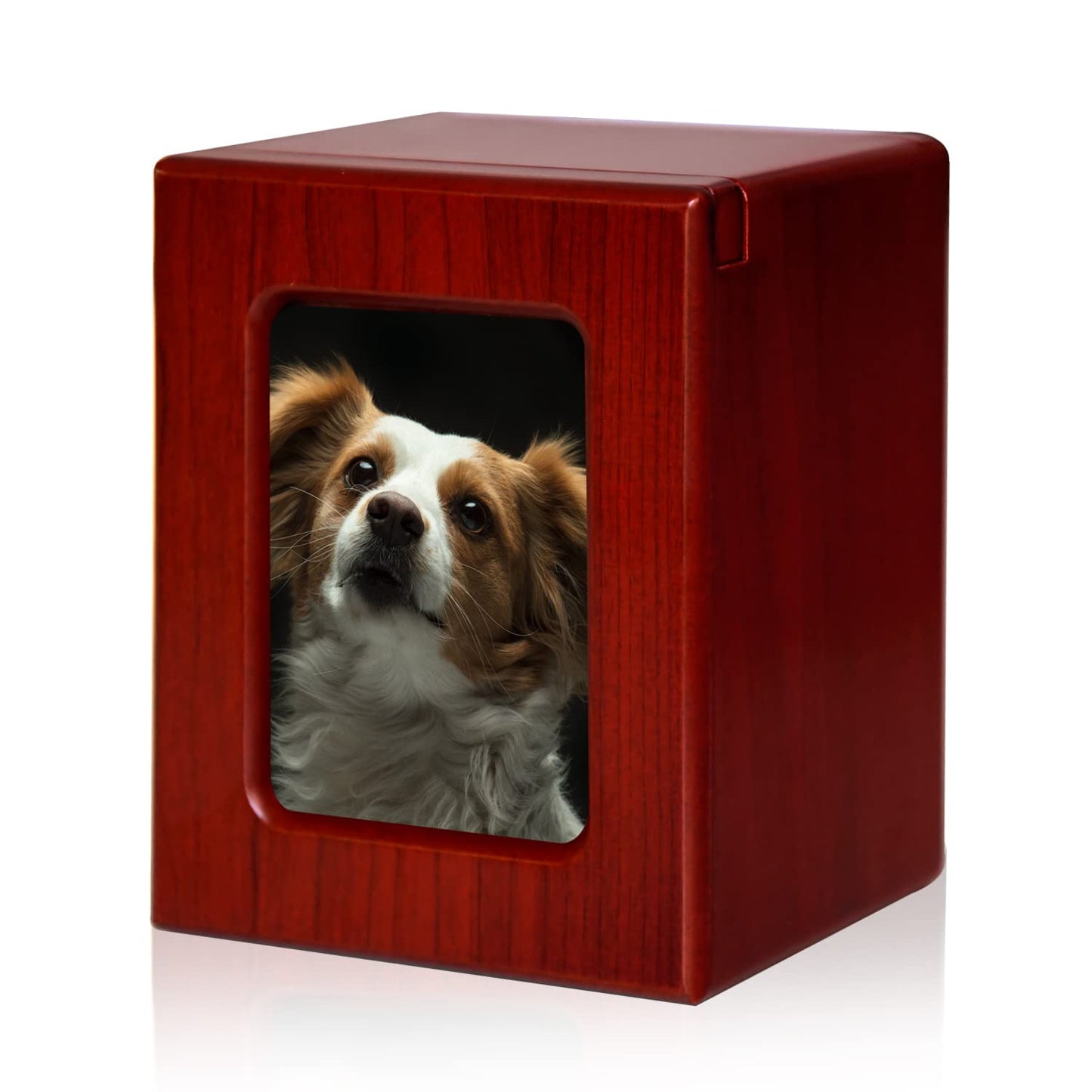 PCS Pet Urns for Cats, Cat Photo Urn, Cat Urns for Ashes, Pet Cremation Box Black-Small