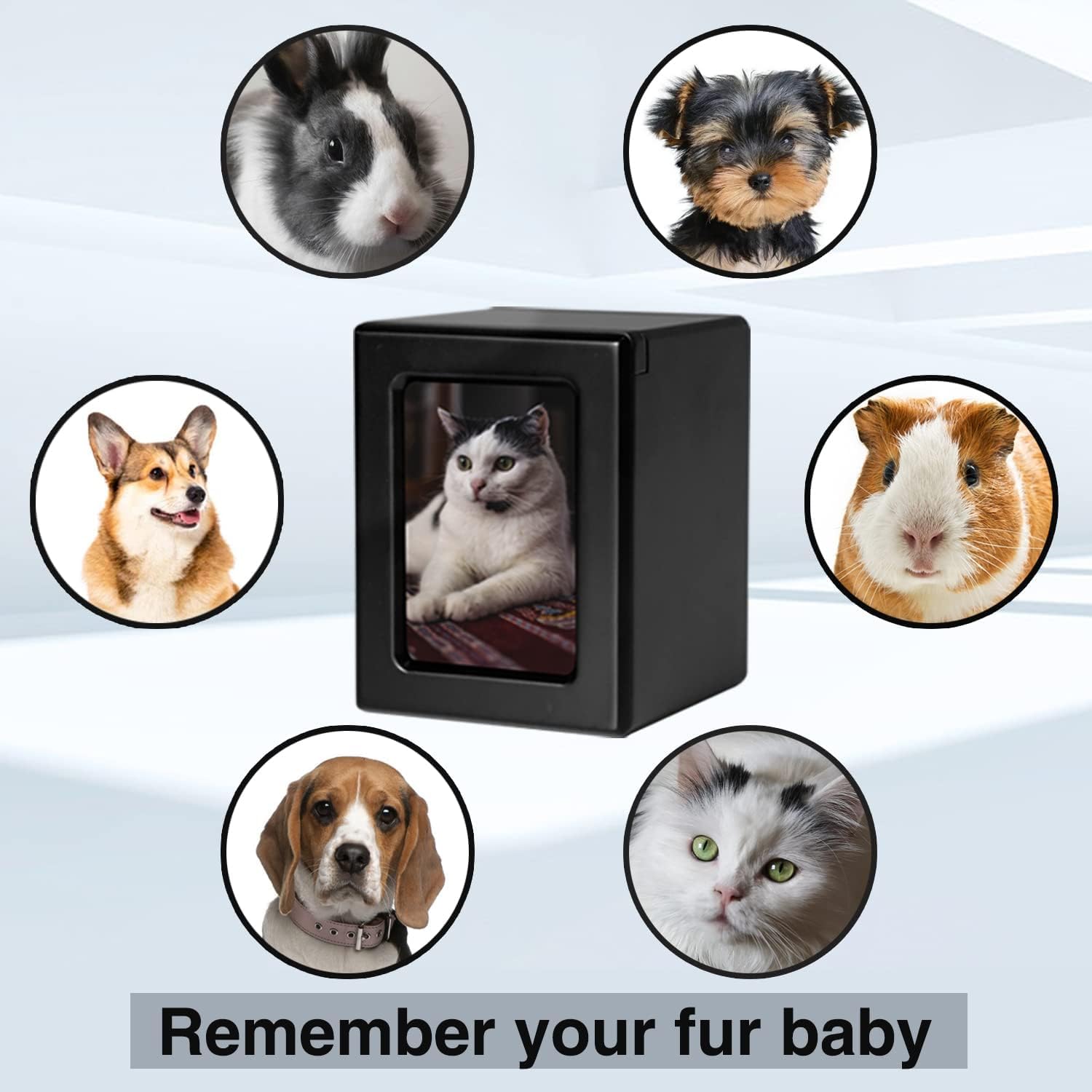 PCS Pet Urns for Cats, Cat Photo Urn, Cat Urns for Ashes, Pet Cremation Box Black-Small